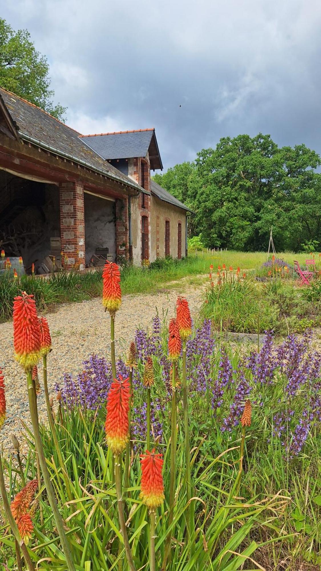 Ecolodges De Loire & Spa Gennes-Val-de-Loire Exterior photo